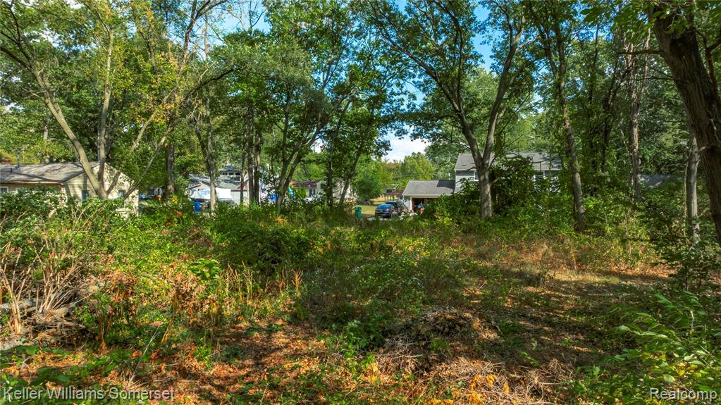 8330 Dickert Street, Commerce Twp, MI 48382 — Photo 4