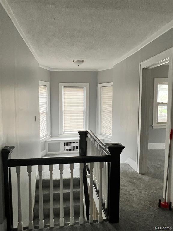 8451 LA SALLE Boulevard, Detroit, MI 48206 — Photo 43