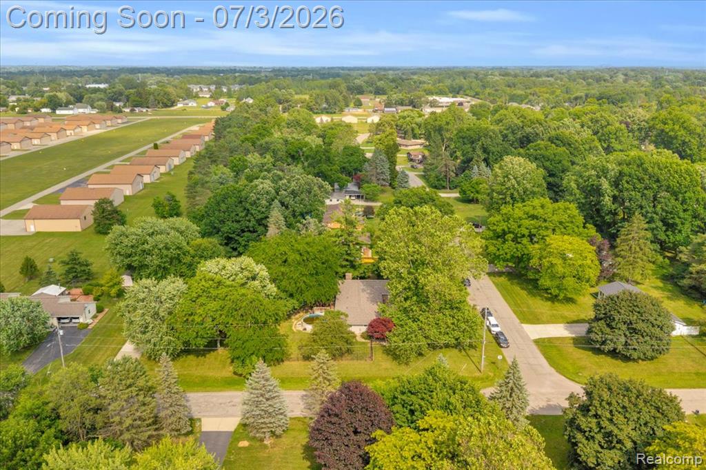 6514 Luanne Drive, Flushing, MI 48433 — Photo 30