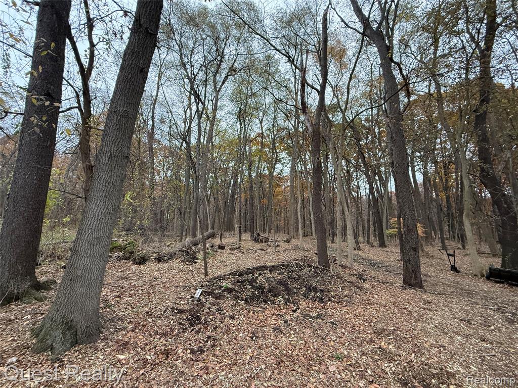 8030 Reese Road, Clarkston, MI 48348 — Photo 5