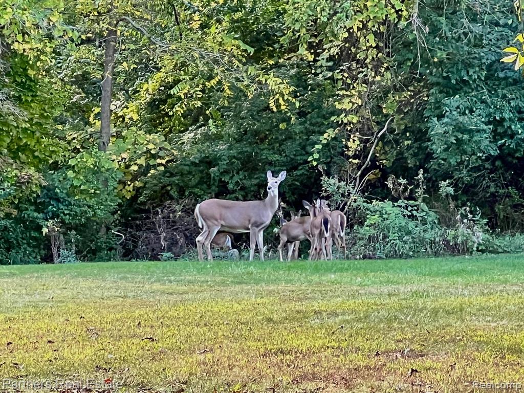 6505 Strawberry Lake Road, Hamburg, MI — Photo 58