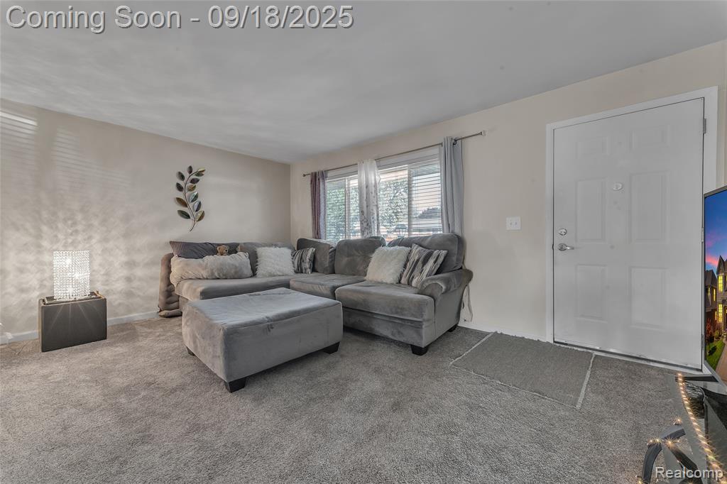 43629 Vivian Drive, Sterling Heights, MI 48313 — Photo 11