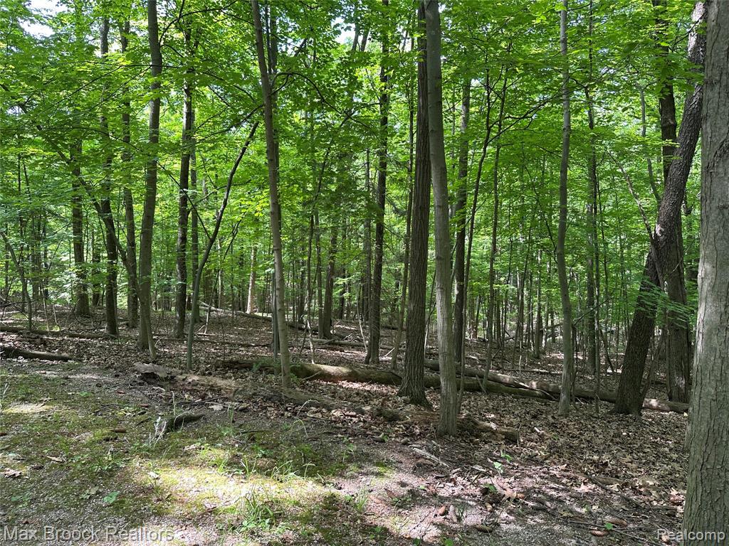 4933 Woodcliff Hill Road N, West Bloomfield, MI 48323 — Photo 49