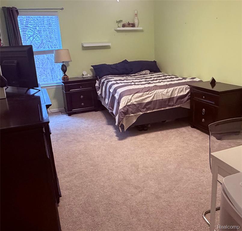 58143 Sunflower Circle S, New Hudson, MI 48165 — Photo 14