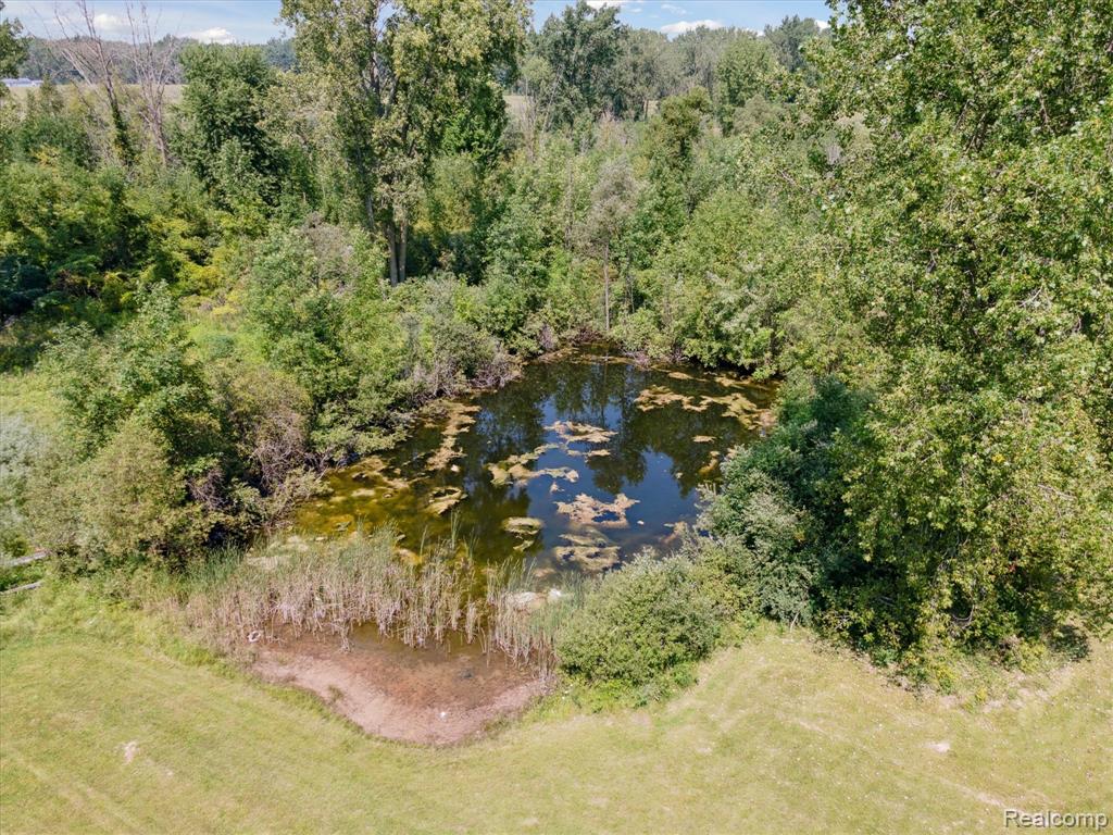 2933 E Sanilac Road, Mayville Vlg, MI 48744 — Photo 49