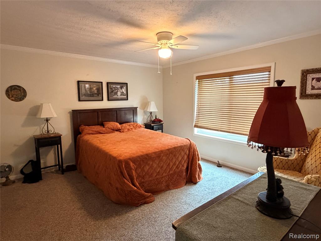 337 Lafayette Street, Manchester, MI 48158 — Photo 16