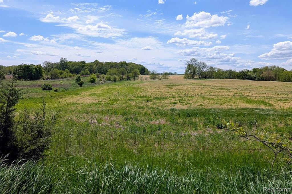 Parcel D - Hogan Road, Linden, MI 48451 — Photo 8