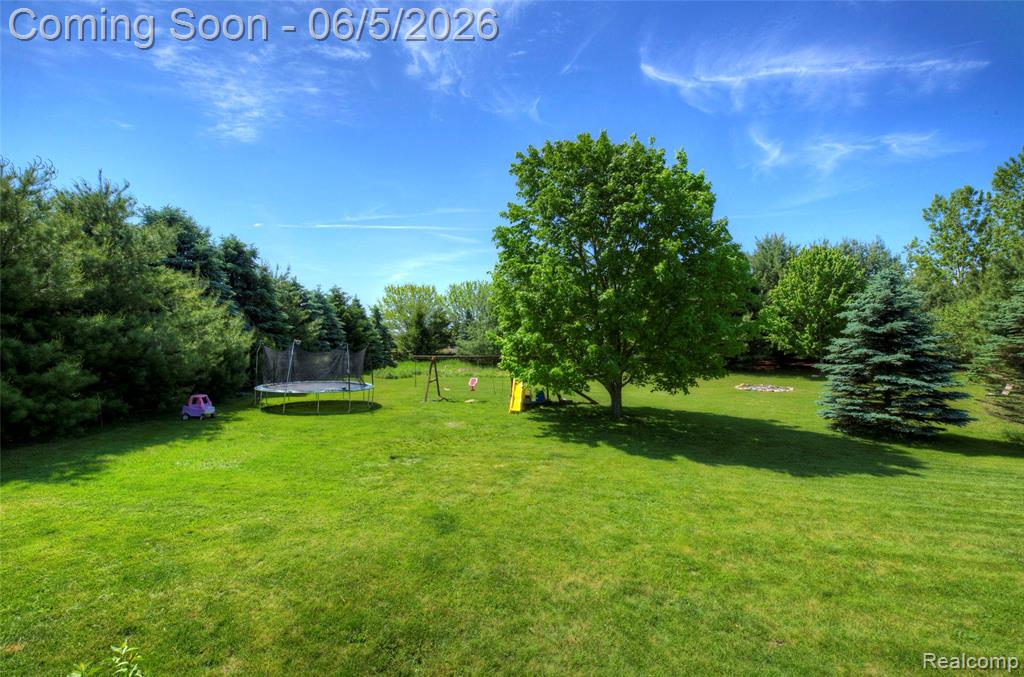 9191 Judd Road, Fowlerville, MI 48836 — Photo 70