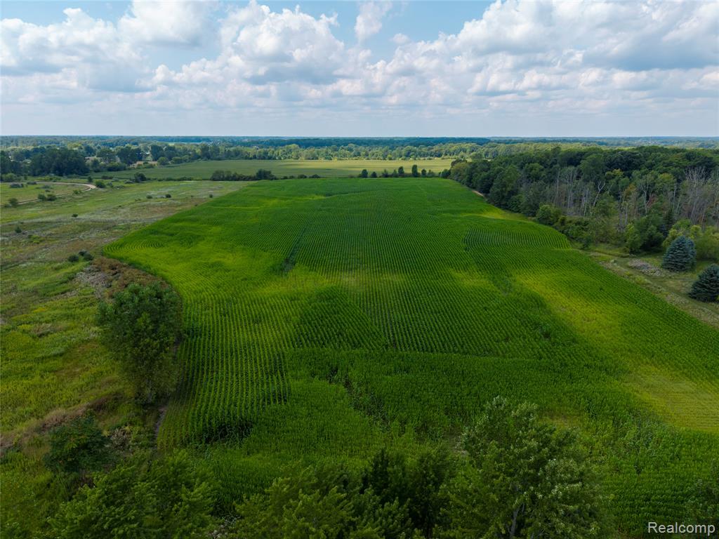 VL Sharp Road, Swartz Creek, MI 48473 — Photo 18
