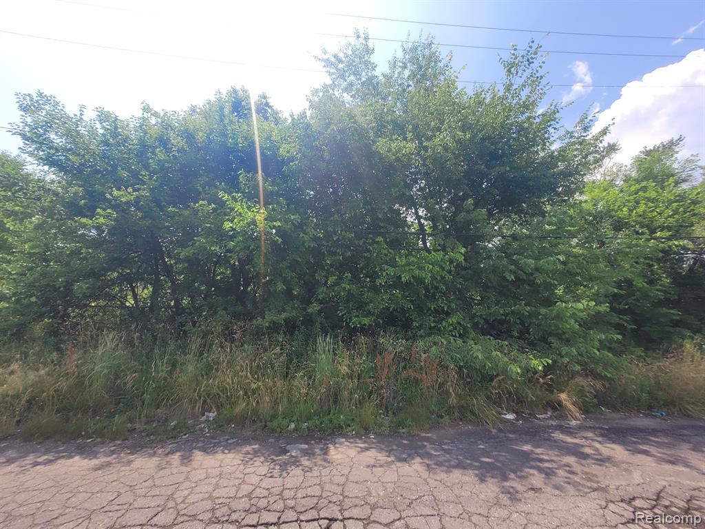 9585 IRIS Street, Detroit, MI 48227 — Photo 9