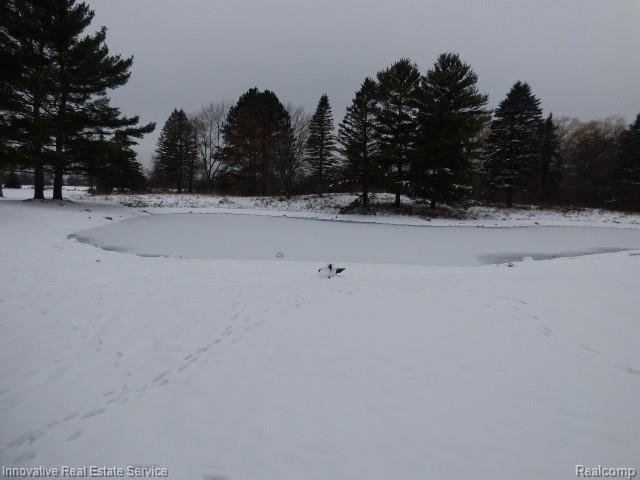 3820 Havens Road, Dryden, MI 48428 — Photo 28