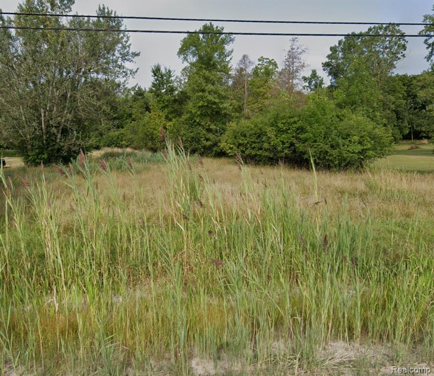 TBD Ormond Drive, Southfield, MI 48033 — front exterior