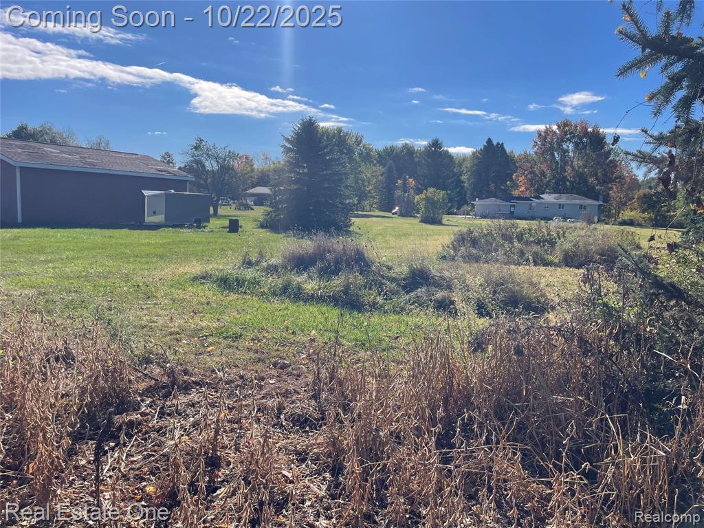 6335 Tubspring Road, Almont, MI 48003 — Photo 25