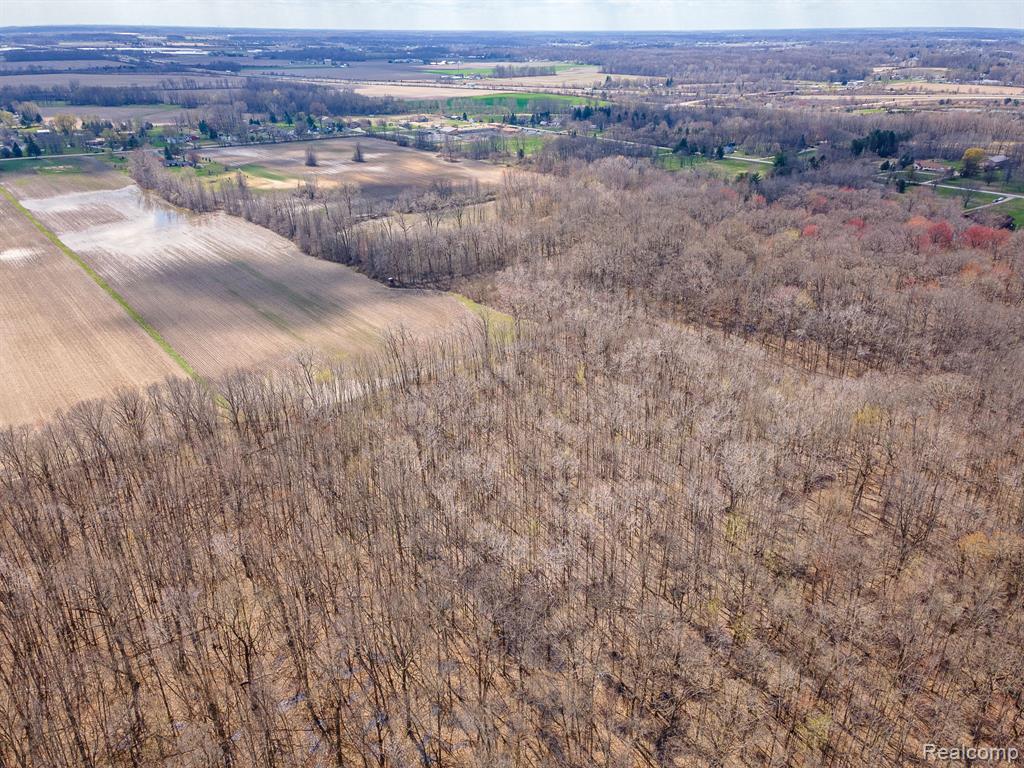 Parcel 1 Carleton Rockwood, Ash, MI 48117 — Photo 9