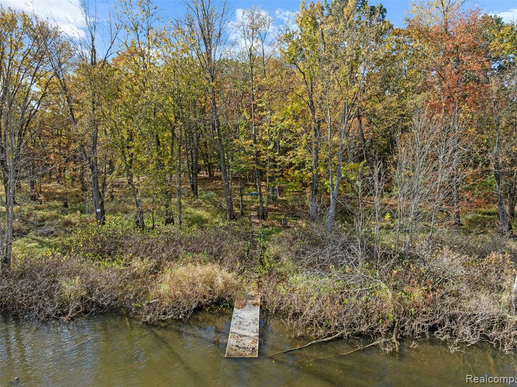 12266 Lillie Road, Byron, MI 48418 — Photo 46