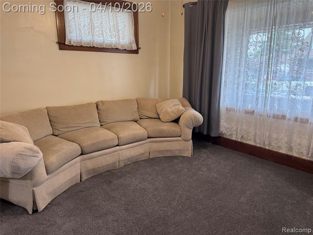 3841 Caniff Street, Hamtramck, MI 48212 — Photo 15