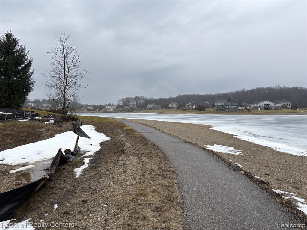 10376 Rosemarie Run Run, Brighton, MI 48114 — Photo 4