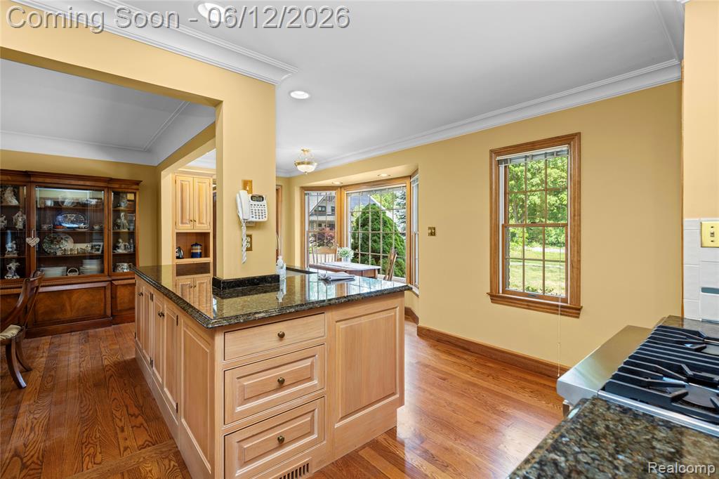 905 Spring Drive, Northville, MI 48167 — Photo 36