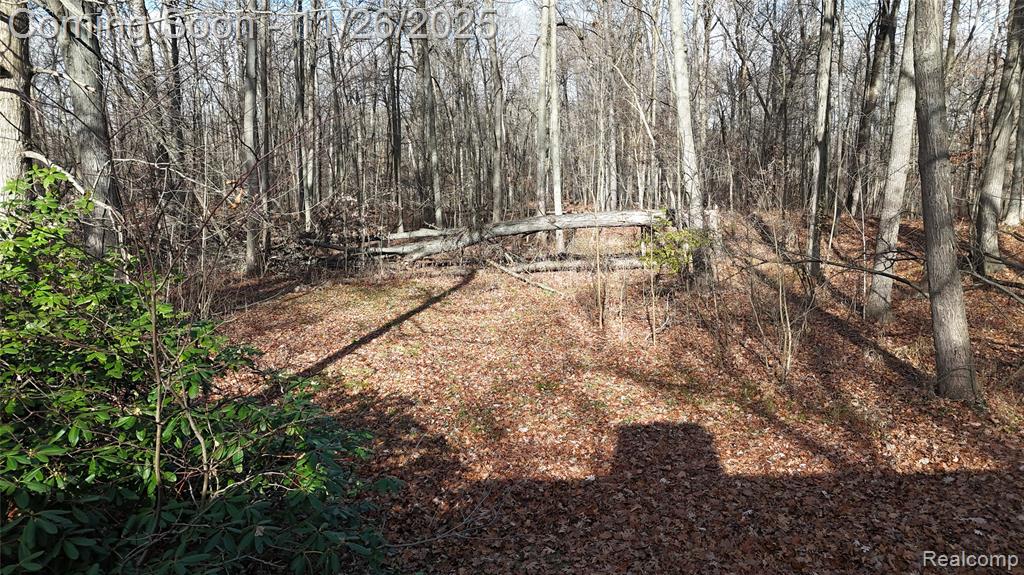 9300 Bath Road, Laingsburg, MI 48848 — Photo 12