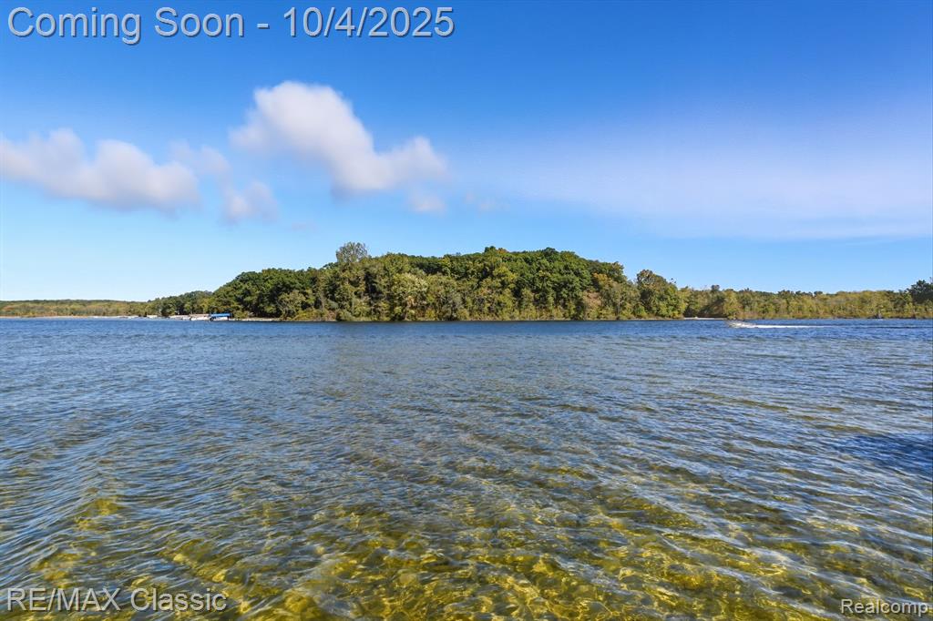 8791 Fairway Drive, Gregory, MI 48137 — Photo 29