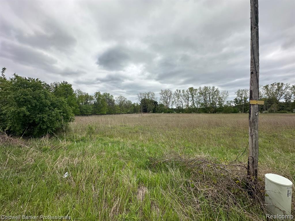 Lot C Bowers Road, Lapeer, MI 48446 — Photo 4