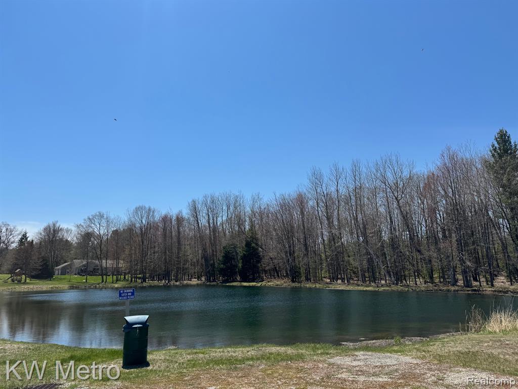 Lot 466 Tanglewood Drive, Oscoda, MI 48750 — Photo 6