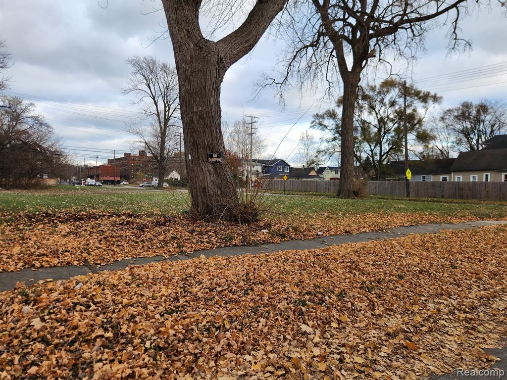 1408 LANSING, Detroit, MI 48209 — Photo 6