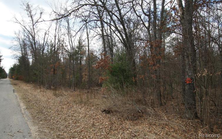 V/L S BRODIE Road, South Branch, MI 48761 — Photo 7