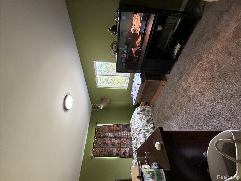 2712 North Branch Road, North Branch, MI 48461 — Photo 28