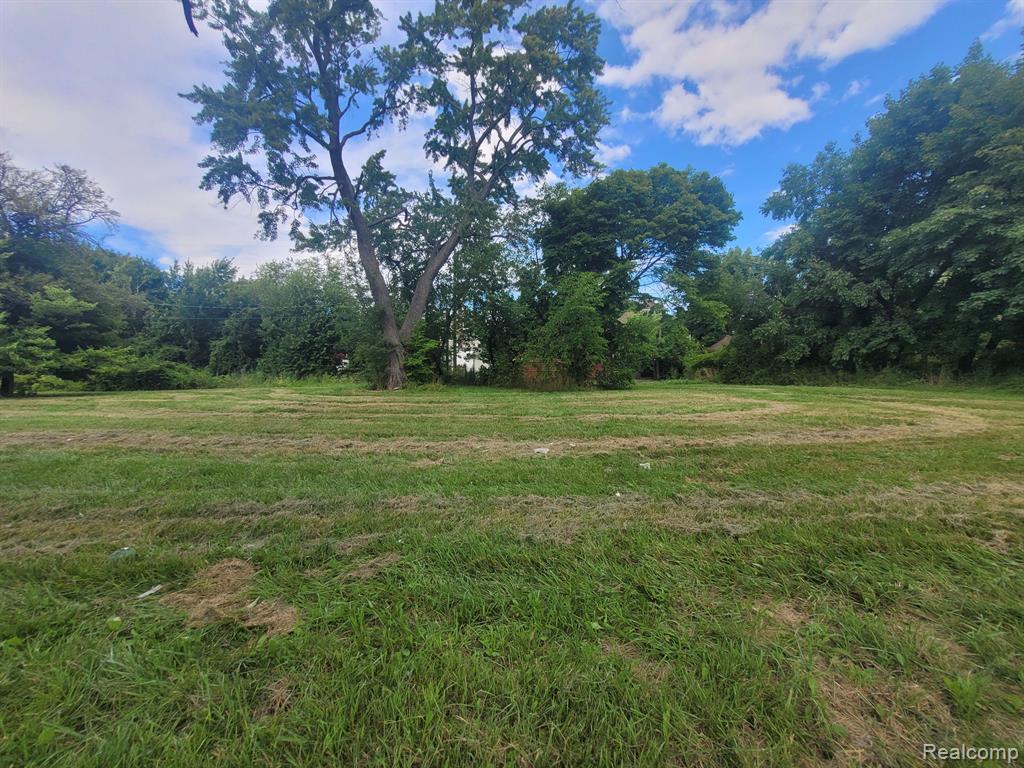 3254 CANTON Street - Photo 5