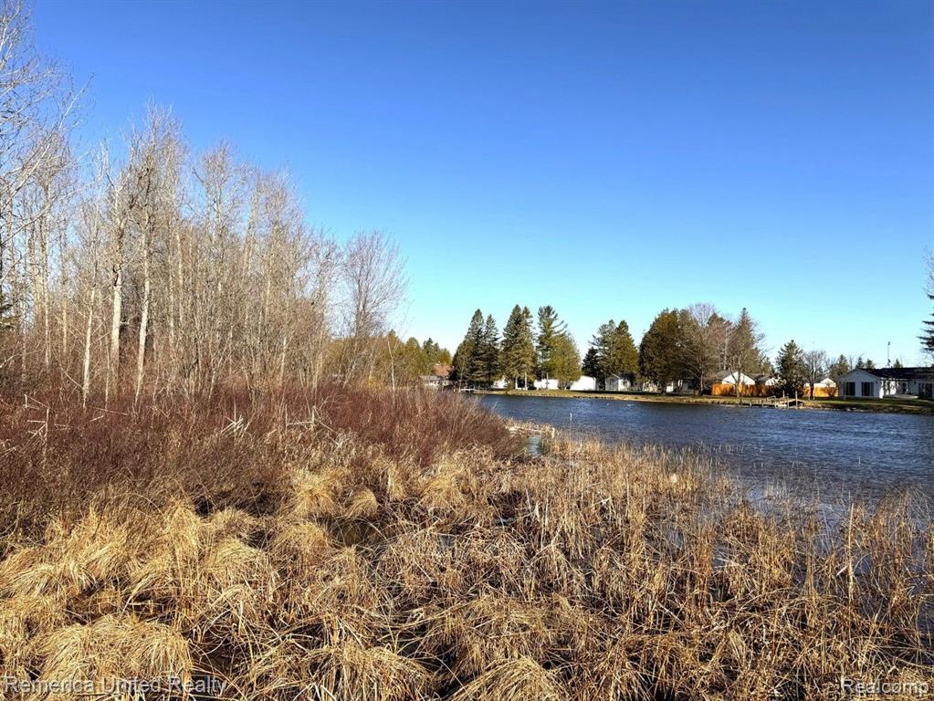 4052 S RIVER Road, Cheboygan, MI 49721 — Photo 3