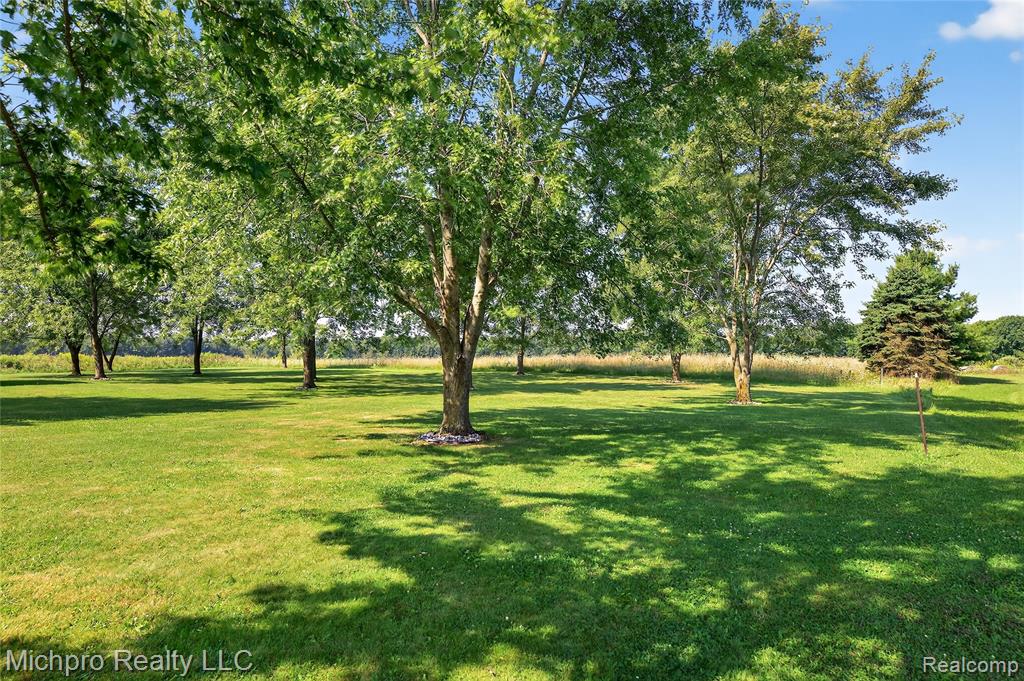 4411 Breen Road, Emmett, MI 48022 — Photo 26