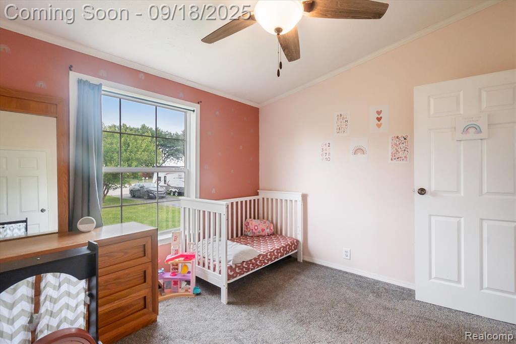 6095 Caro Road, Vassar, MI 48768 — Photo 22