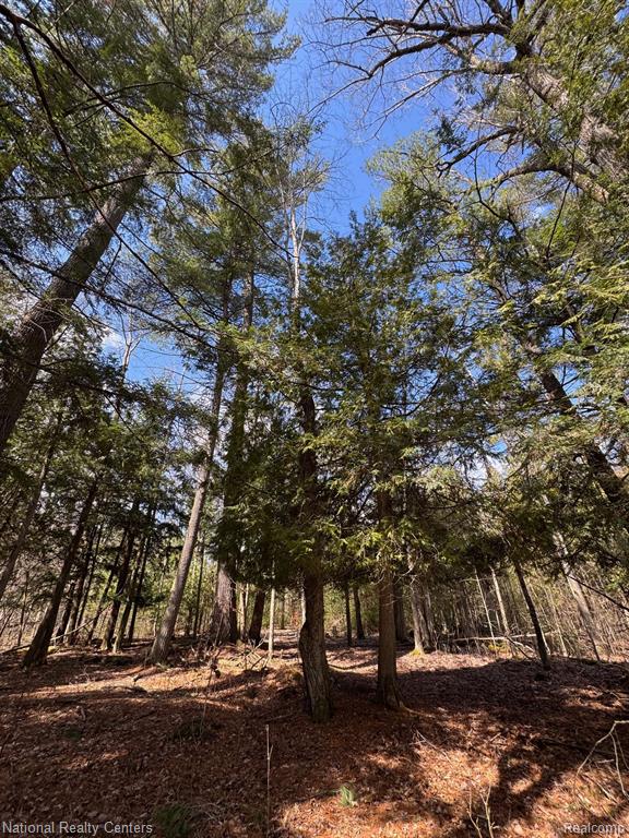 4233 Hardacre Trail, Houghton Lake, MI 48629 — Photo 21