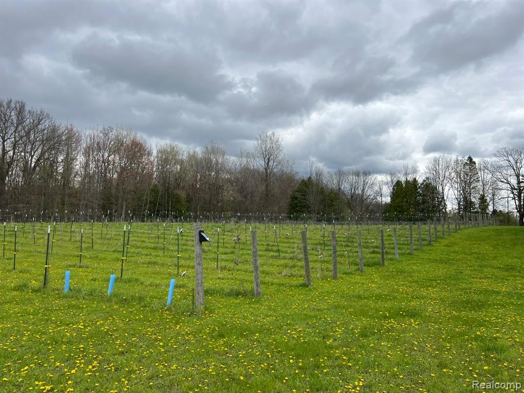 5785 Baldwin Road, Oxford, MI 48371 — Photo 18