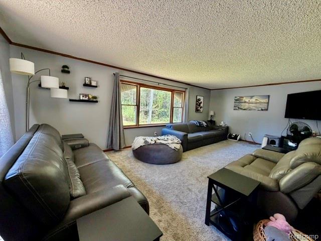 6087 Cyclone Road, Otter Lake, MI 48464 — Photo 12
