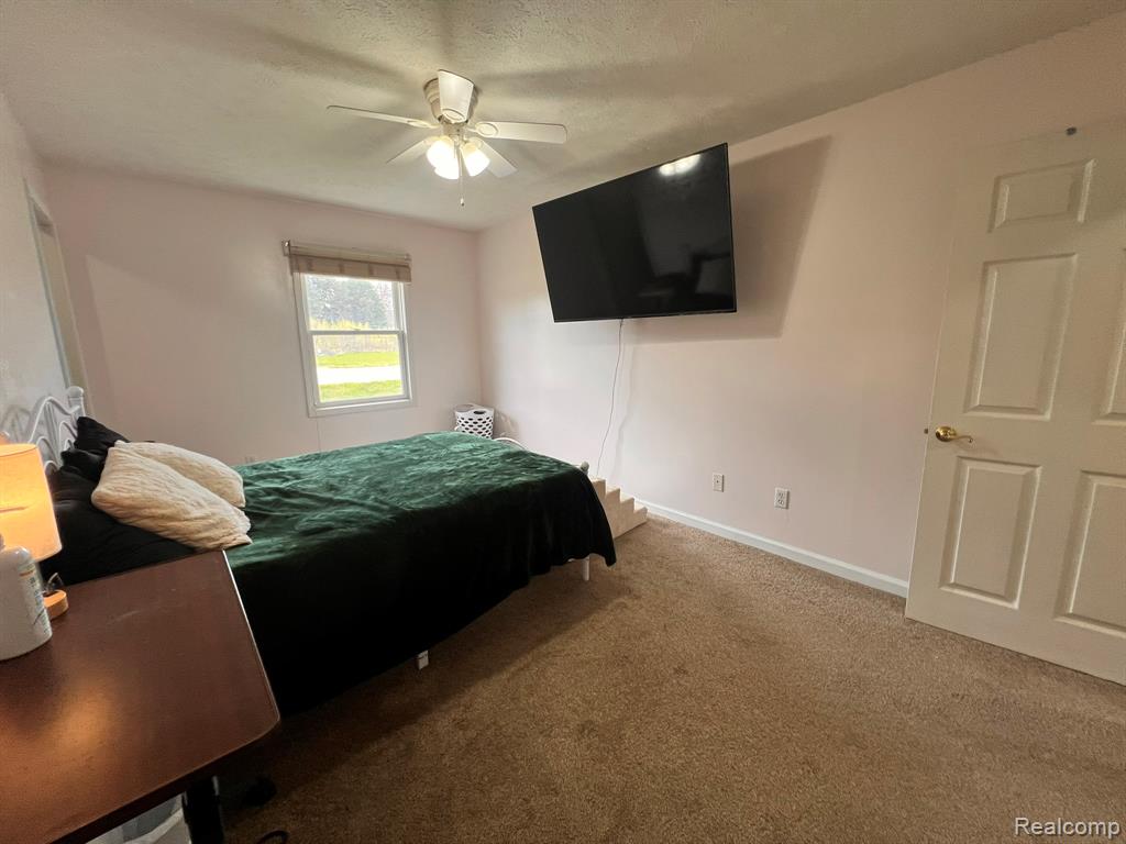 320 Roller Way, Mayville Vlg, MI 48744 — Photo 18