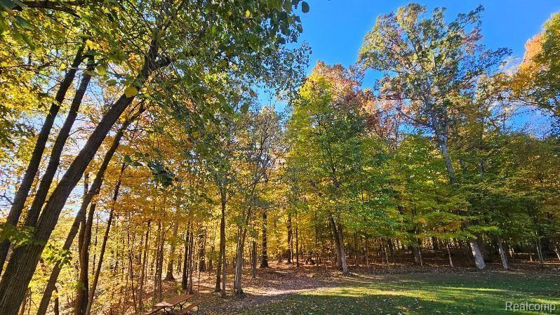 4693 Hegel Road, Goodrich Vlg, MI — Photo 44