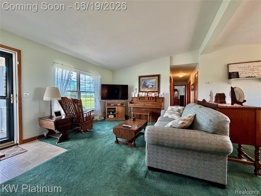6069 Harris Road, Grant, MI 48032 — Photo 5
