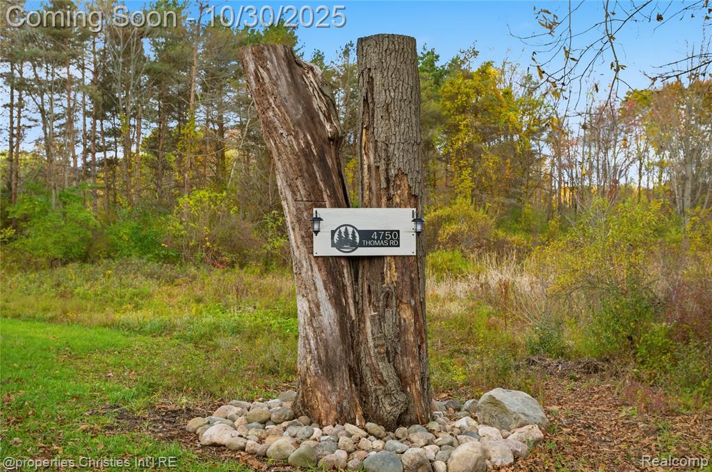 4750 Thomas Road, Metamora, MI 48455 — Photo 57