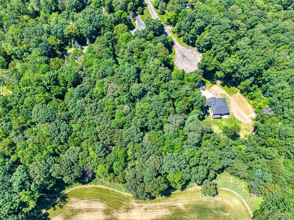 5663 Iosco Mountain Road, Gregory, MI 48137 — Photo 12