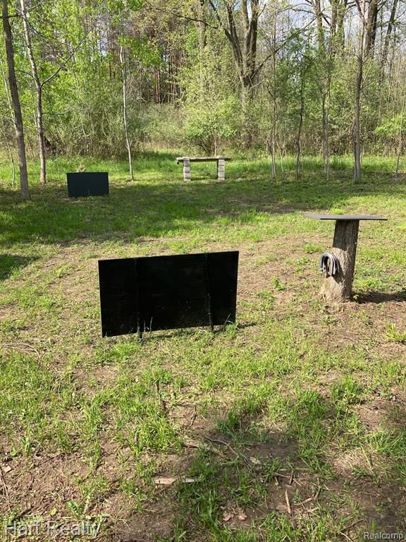 4250 Midway Road, MI — Photo 13