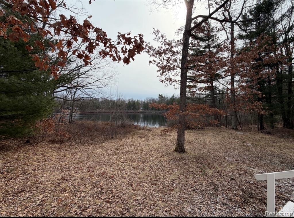6240 S Labelle Drive, Idlewild, MI 49642 — Photo 16