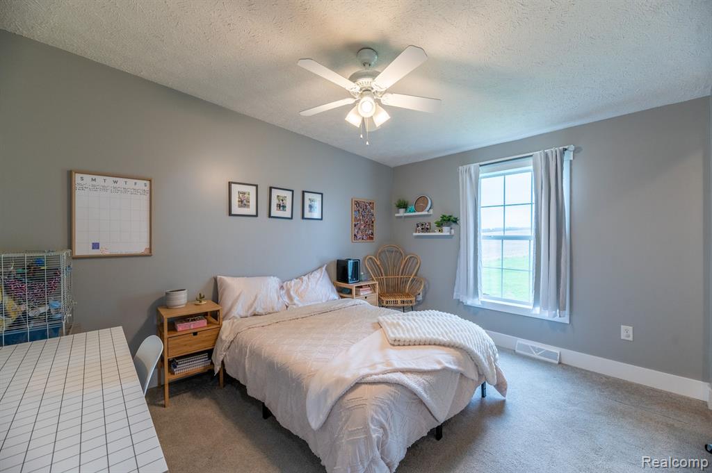 5373 MERTZ Road, Mayville Vlg, MI 48744 — Photo 16