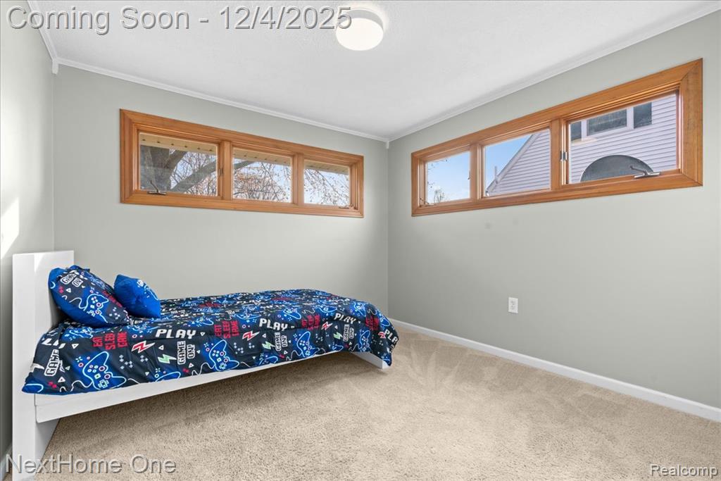 60658 Sue Street, Lyon, MI 48178 — Photo 11