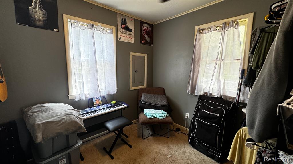 713 FRAZER Avenue, Owosso, MI 48867 — Photo 9