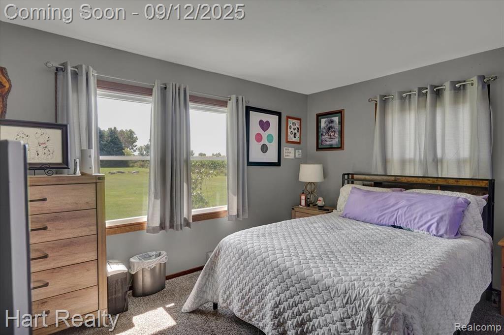 5745 ADAMS Road, Marlette, MI 48453 — Photo 16