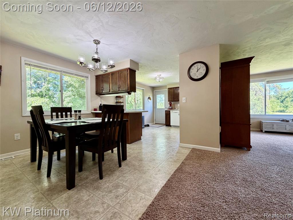 4059 Galbraith Line Road, Croswell, MI 48422 — Photo 8