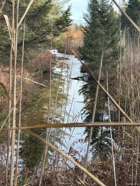 VL W AuSable Point Road, Oscoda, MI 48750 — Photo 13
