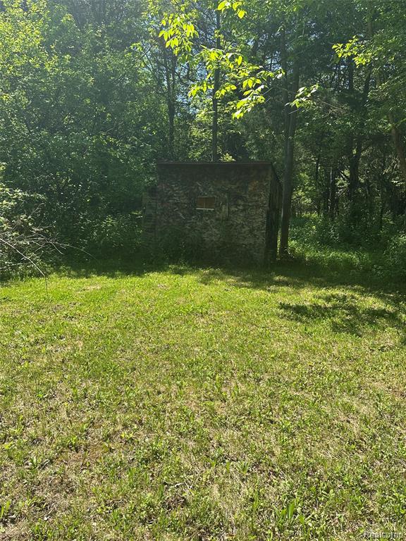 6161 River Road, Flushing, MI 48433 — Photo 59